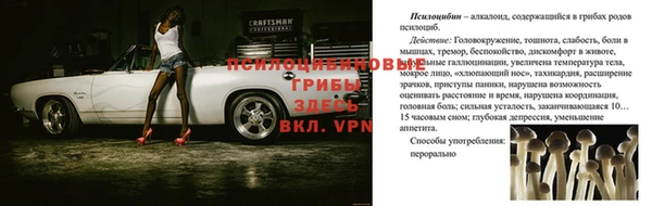 соль ск Инта