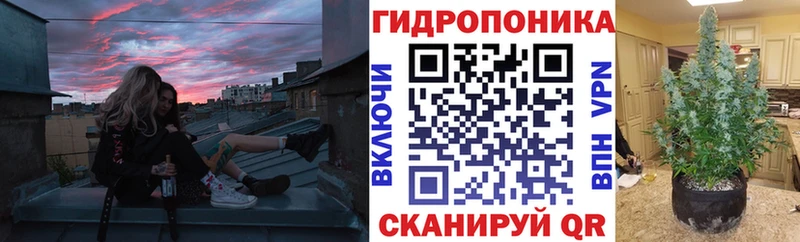 Шишки марихуана индика Джанкой